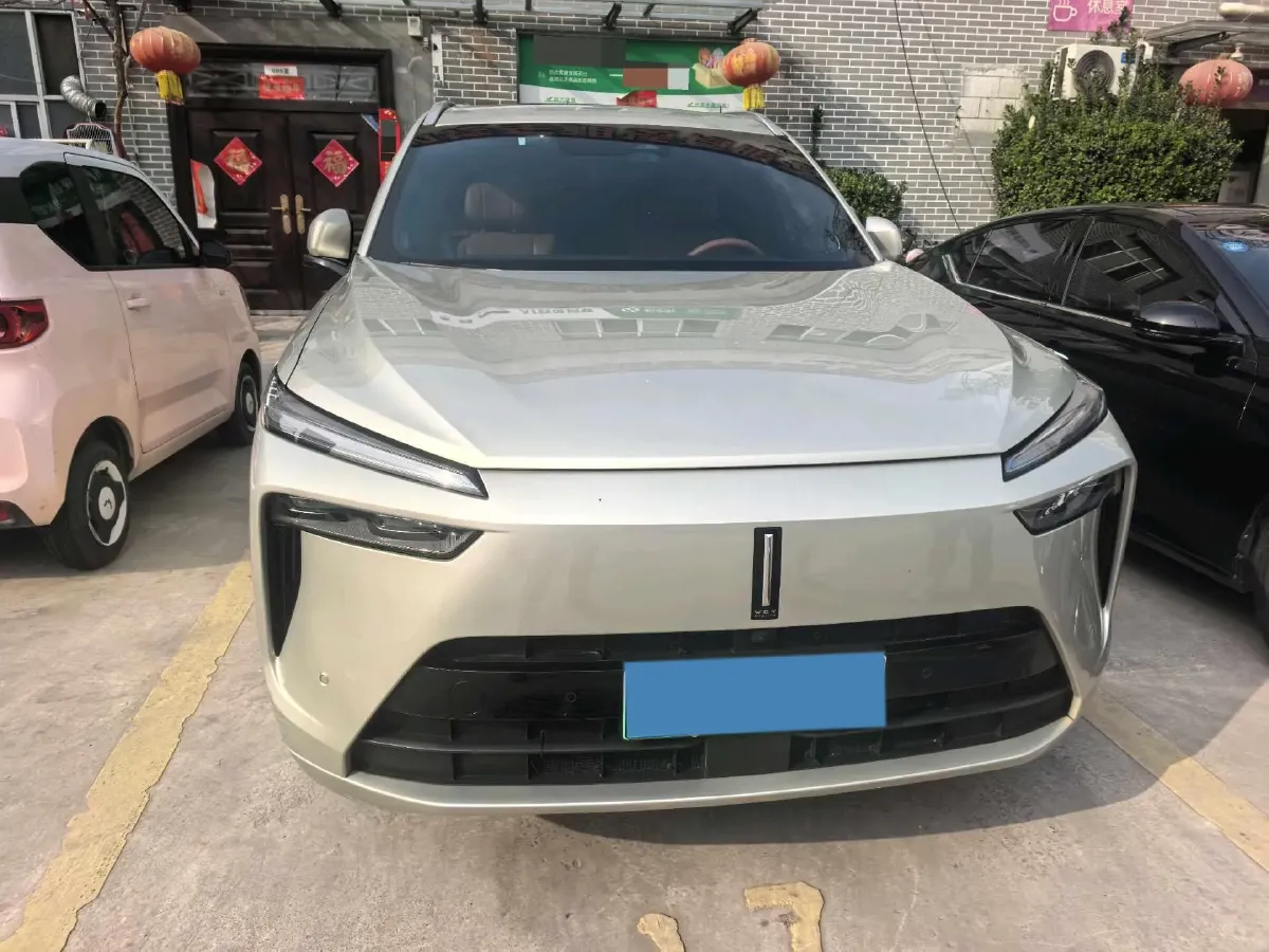 2023 WEY BlueMountain 1.5T 154HP L4 2DHT PHEV 44.5KWH,autocango,china used car exporter,china ev exporter,chinese used car exporter,chinese used ev exporter