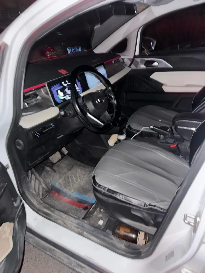 2024 Geometry E BEV 29.67KWH,autocango,china used car exporter,china ev exporter,chinese used car exporter,chinese used ev exporter