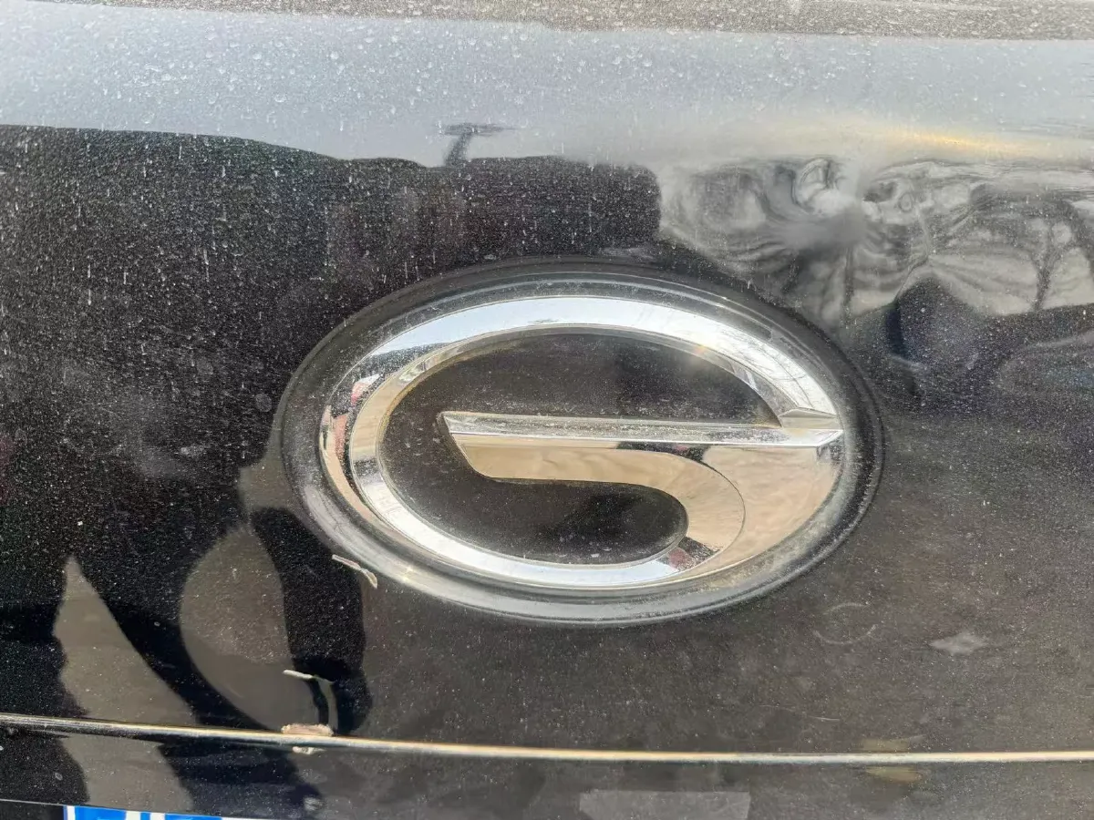 2017 GAC Trumpchi GS8 2.0T 201HP L4 6AT,autocango,china used car exporter,china ev exporter,chinese used car exporter,chinese used ev exporter