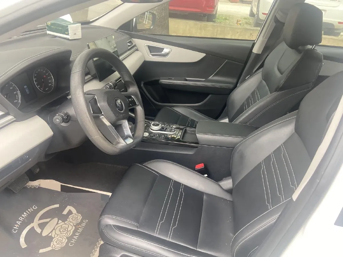 2021 BYD Qin BEV 53.56KWH,autocango,china used car exporter,china ev exporter,chinese used car exporter,chinese used ev exporter