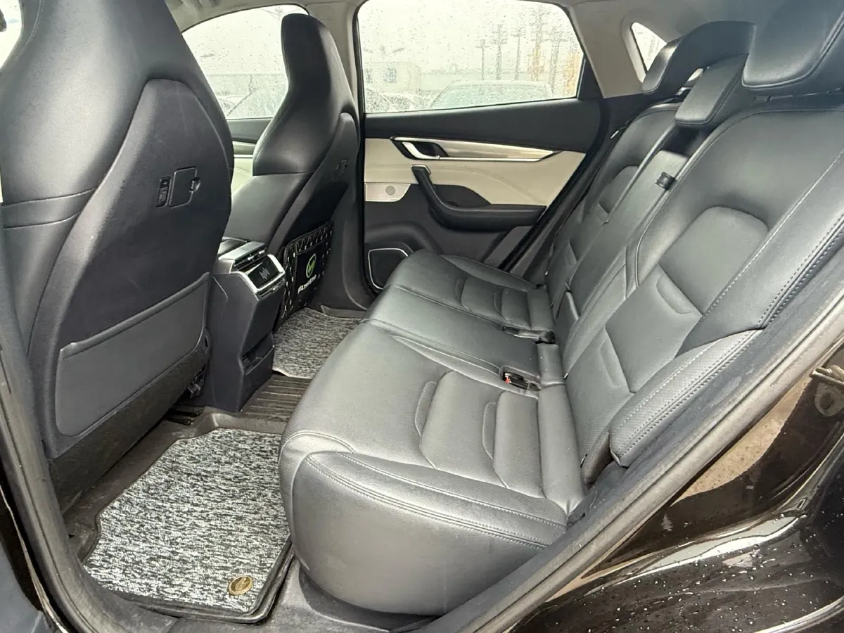 2020 Weltmeister EX5 BEV 52.56KWH,autocango,china used car exporter,china ev exporter,chinese used car exporter,chinese used ev exporter