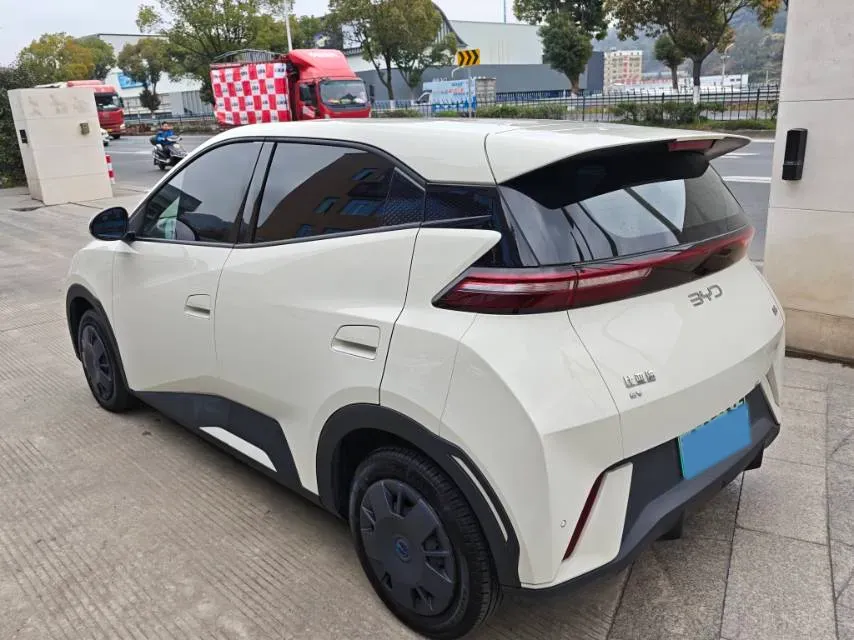 2025 BYD Seagull BEV 30.08KWH,autocango,china used car exporter,china ev exporter,chinese used car exporter,chinese used ev exporter