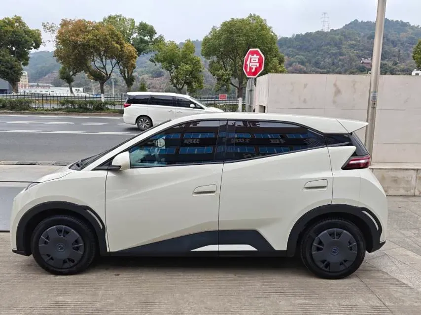 2025 BYD Seagull BEV 30.08KWH,autocango,china used car exporter,china ev exporter,chinese used car exporter,chinese used ev exporter