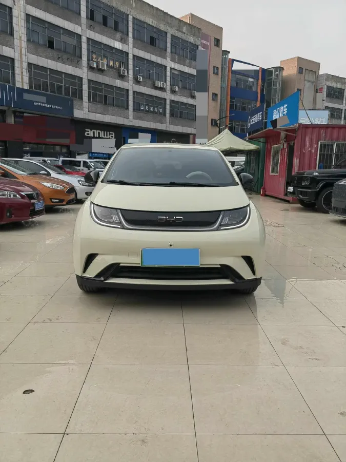 2025 BYD Dolphin BEV 44.928KWH,autocango,china used car exporter,china ev exporter,chinese used car exporter,chinese used ev exporter