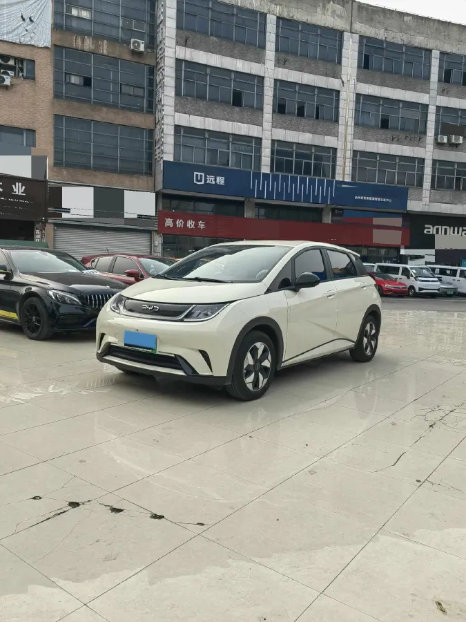 2025 BYD Dolphin BEV 44.928KWH,autocango,china used car exporter,china ev exporter,chinese used car exporter,chinese used ev exporter
