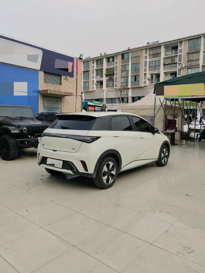 2025 BYD Dolphin BEV 44.928KWH,autocango,china used car exporter,china ev exporter,chinese used car exporter,chinese used ev exporter