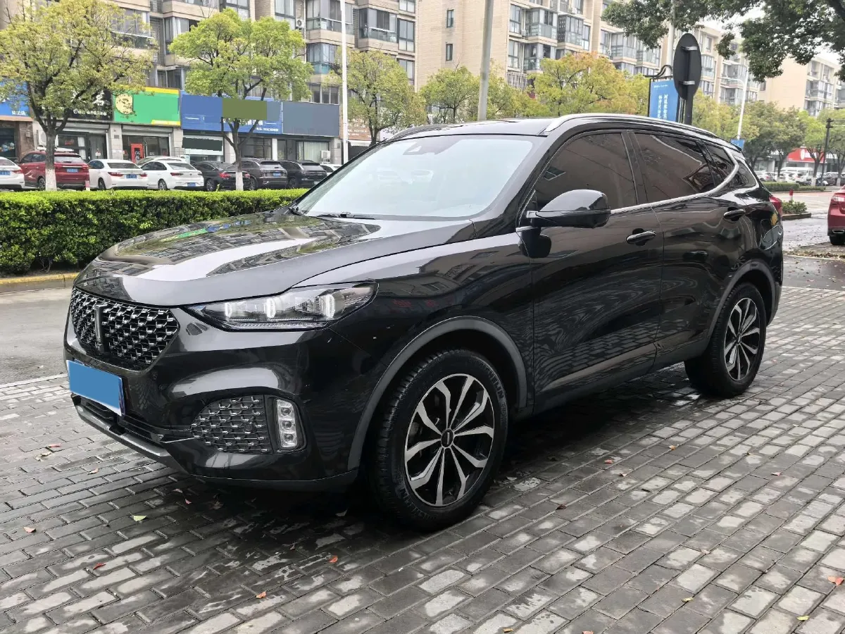 2020 WEY VV6 2.0T 227HP L4 7DCT,autocango,china used car exporter,china ev exporter,chinese used car exporter,chinese used ev exporter