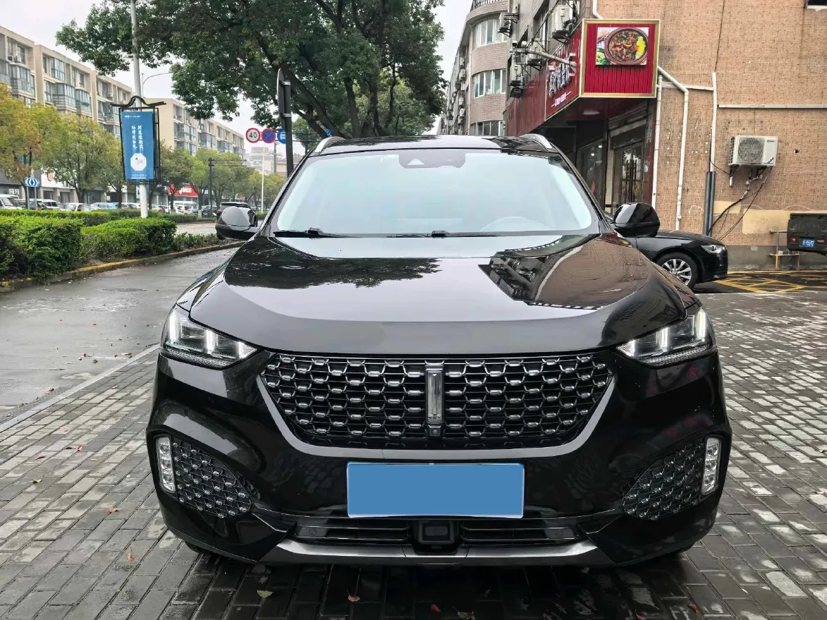 2020 WEY VV6 2.0T 227HP L4 7DCT,autocango,china used car exporter,china ev exporter,chinese used car exporter,chinese used ev exporter