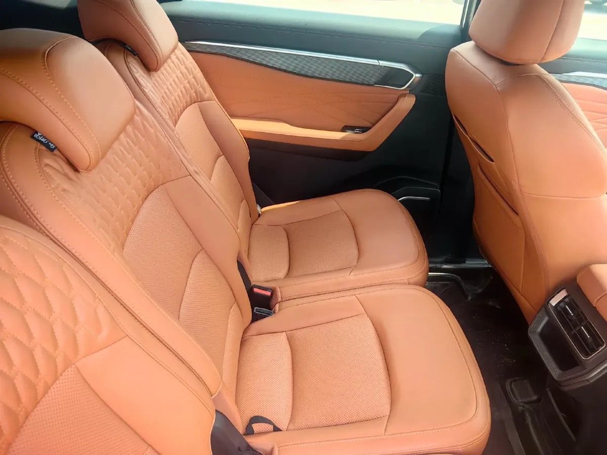 2024 Geely Okavango L 2.0T 218HP L4 7DCT,autocango,china used car exporter,china ev exporter,chinese used car exporter,chinese used ev exporter