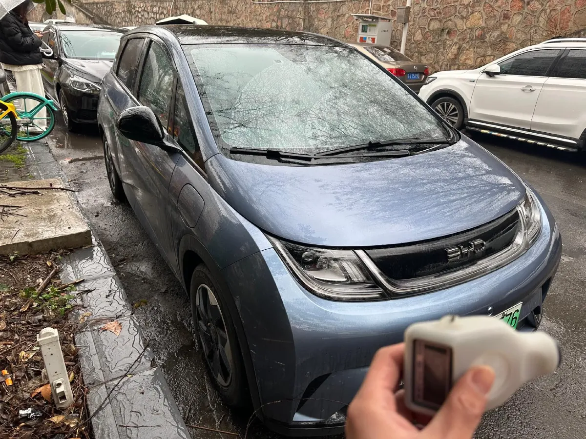 2024 BYD Dolphin BEV 44.928KWH,autocango,china used car exporter,china ev exporter,chinese used car exporter,chinese used ev exporter