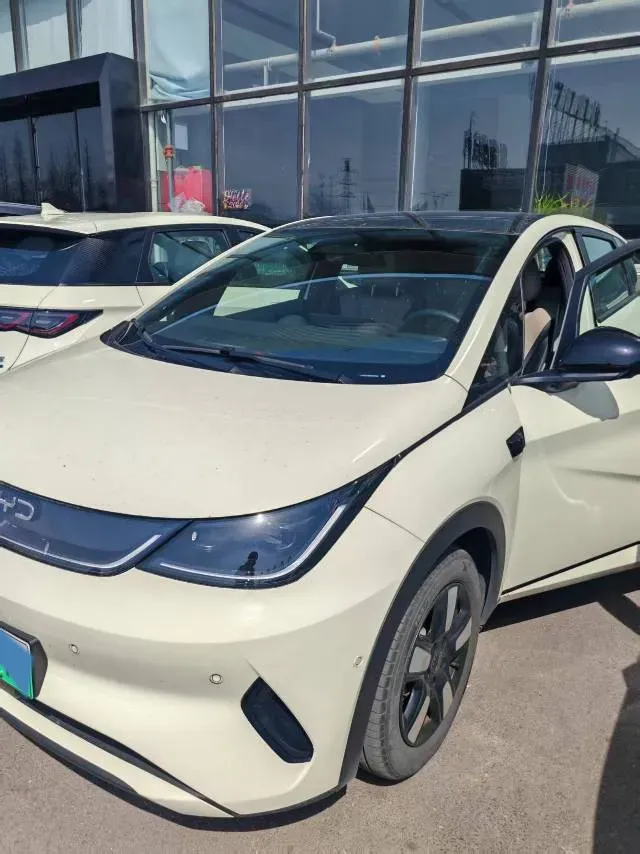 2025 BYD Dolphin BEV 45.12KWH,autocango,china used car exporter,china ev exporter,chinese used car exporter,chinese used ev exporter