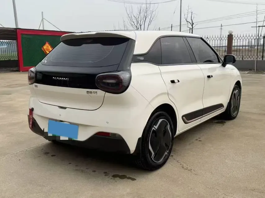 2024 DongFeng Nammi 01 BEV 31.45KWH,autocango,china used car exporter,china ev exporter,chinese used car exporter,chinese used ev exporter