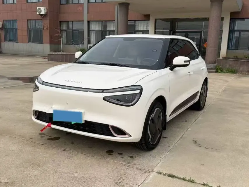2024 DongFeng Nammi 01 BEV 31.45KWH,autocango,china used car exporter,china ev exporter,chinese used car exporter,chinese used ev exporter