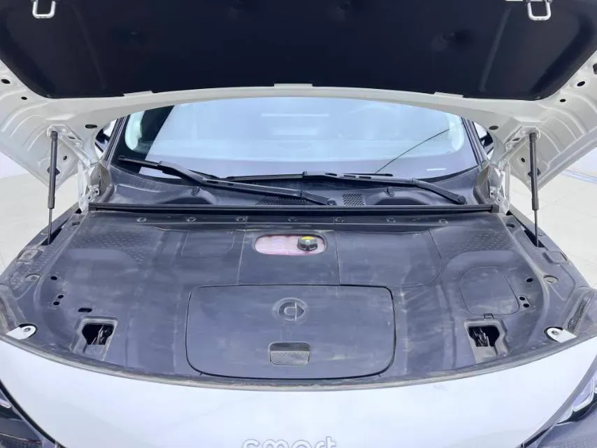 2024 Smart smart Elf 1 BEV 49KWH,autocango,china used car exporter,china ev exporter,chinese used car exporter,chinese used ev exporter