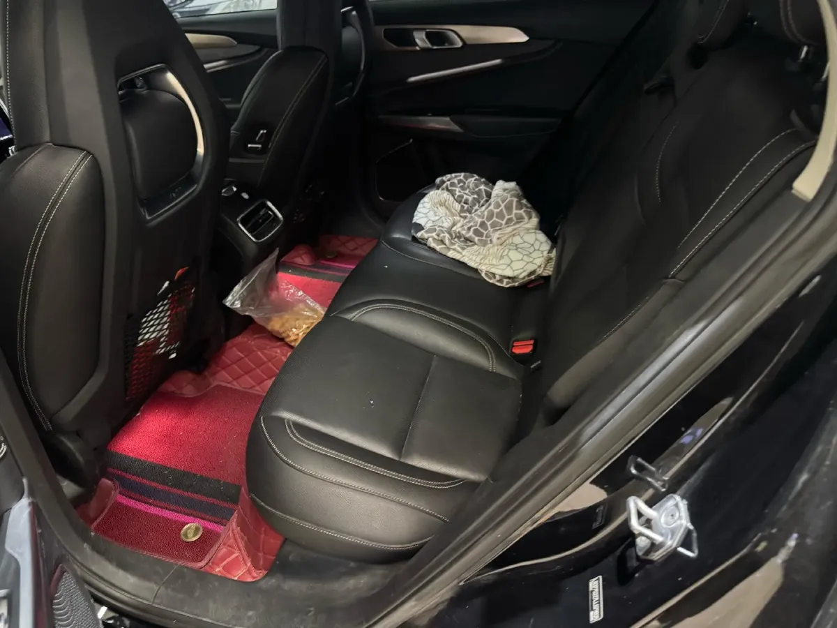 2019 Beijing BJ40 2.0T 218HP L4 6AT,autocango,china used car exporter,china ev exporter,chinese used car exporter,chinese used ev exporter