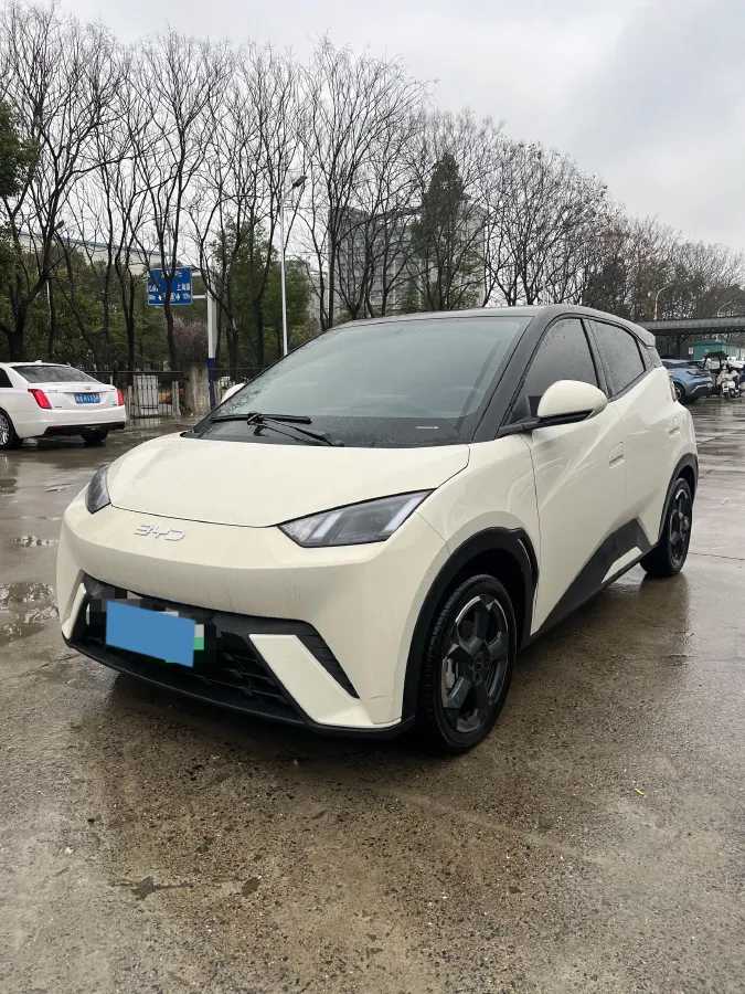 2023 BYD Seagull BEV 30.08KWH,autocango,china used car exporter,china ev exporter,chinese used car exporter,chinese used ev exporter