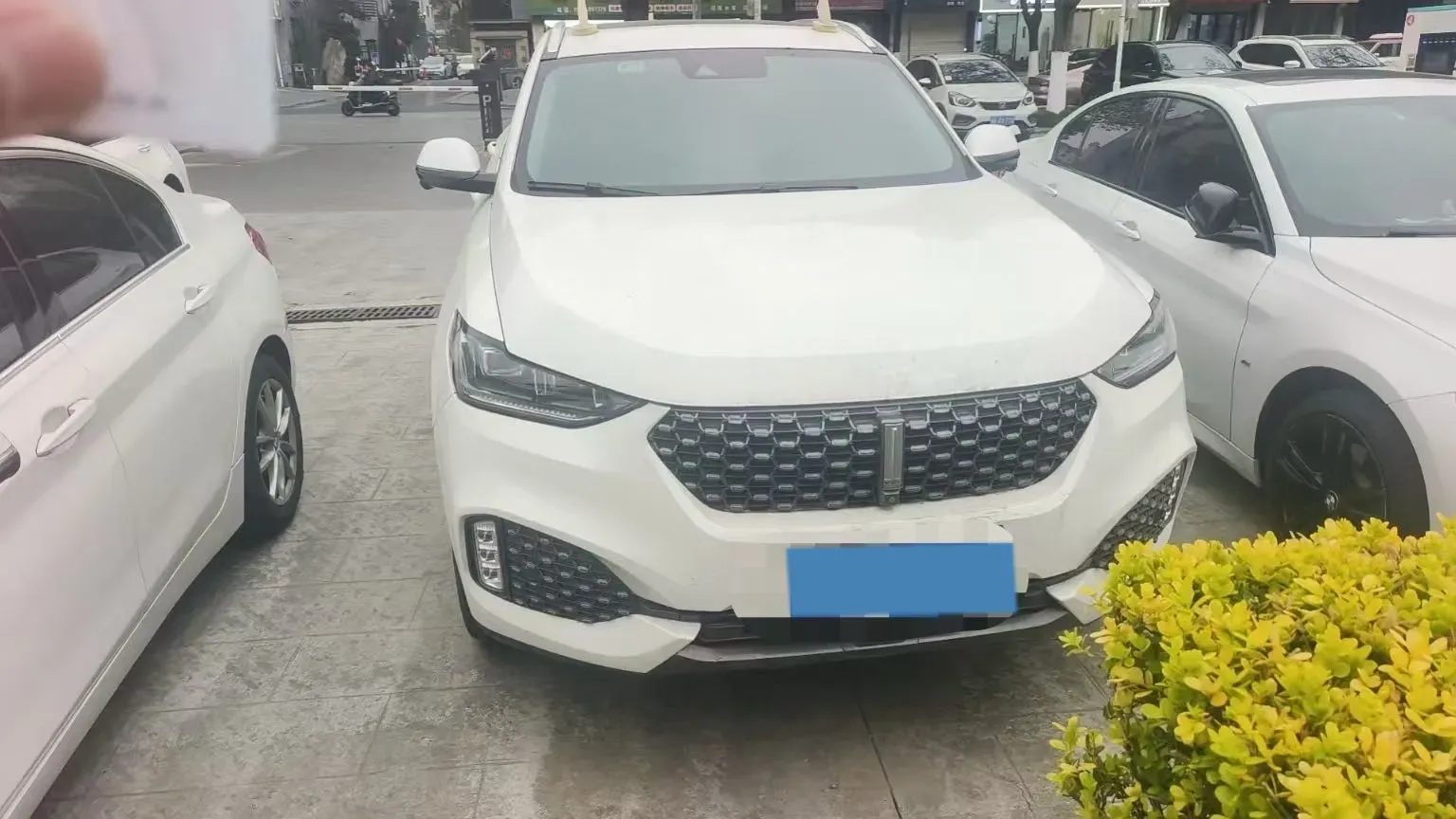 2020 WEY VV6 2.0T 227HP L4 7DCT,autocango,china used car exporter,china ev exporter,chinese used car exporter,chinese used ev exporter