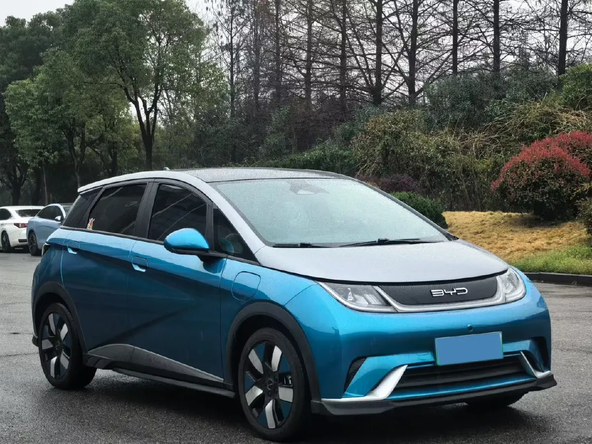 2021 BYD e2 BEV 43.2KWH,autocango,china used car exporter,china ev exporter,chinese used car exporter,chinese used ev exporter