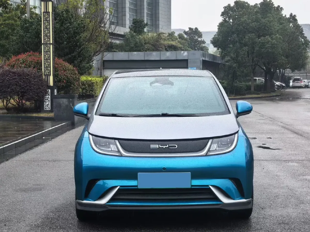 2021 BYD e2 BEV 43.2KWH,autocango,china used car exporter,china ev exporter,chinese used car exporter,chinese used ev exporter