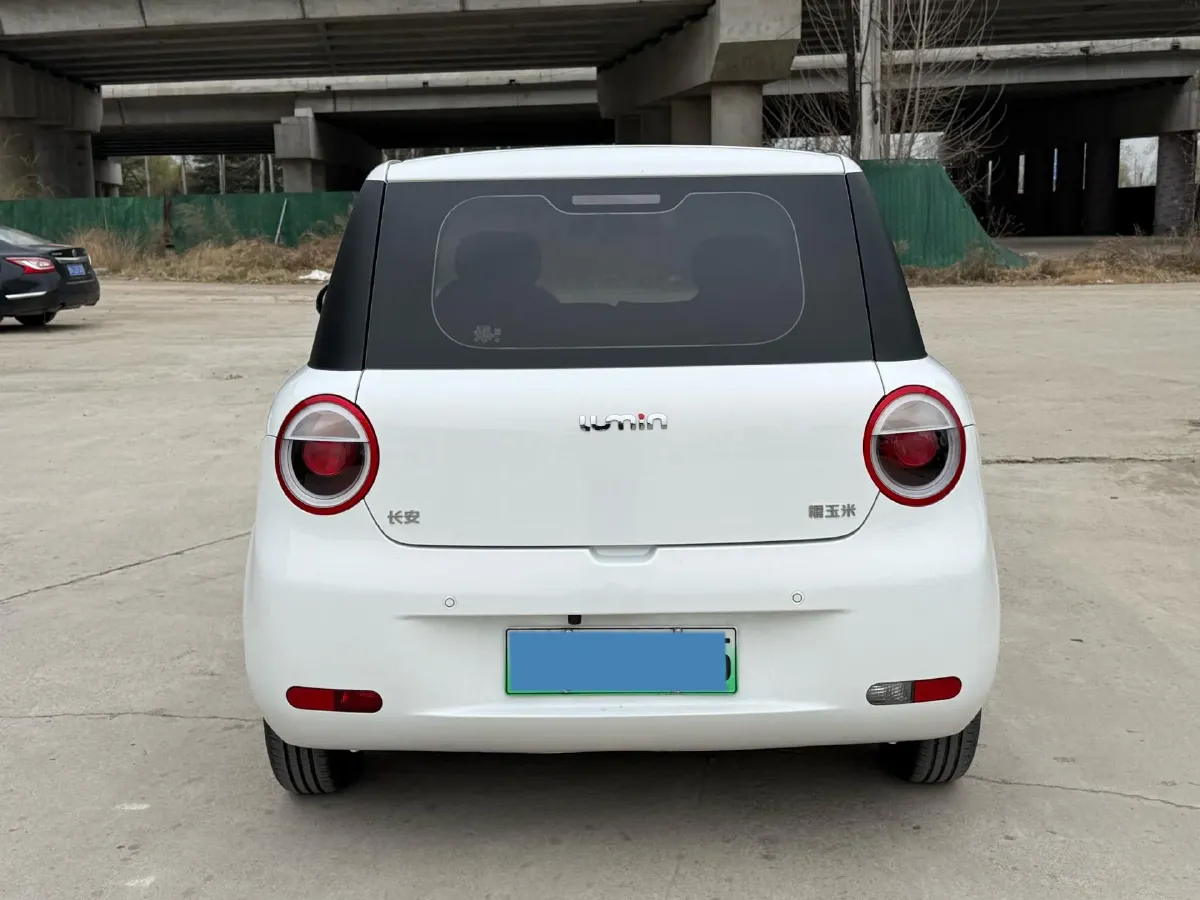 2024 ChangAn QiYuan Lumin BEV 28.08KWH,autocango,china used car exporter,china ev exporter,chinese used car exporter,chinese used ev exporter