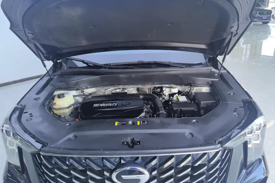 2022 GAC Trumpchi GS8 2.0T 252HP L4 8AT,autocango,china used car exporter,china ev exporter,chinese used car exporter,chinese used ev exporter