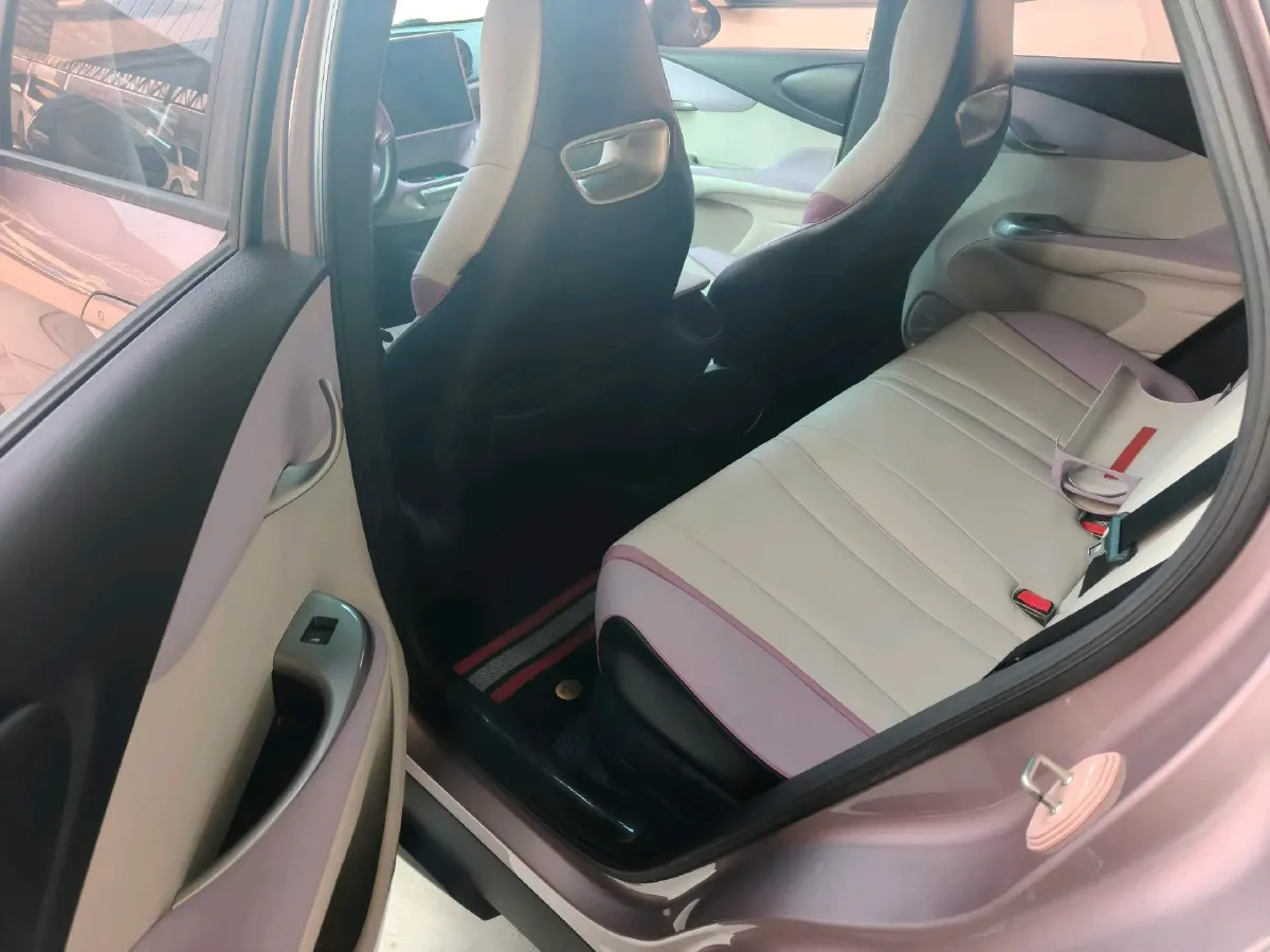 2023 BYD Dolphin BEV 44.928KWH,autocango,china used car exporter,china ev exporter,chinese used car exporter,chinese used ev exporter