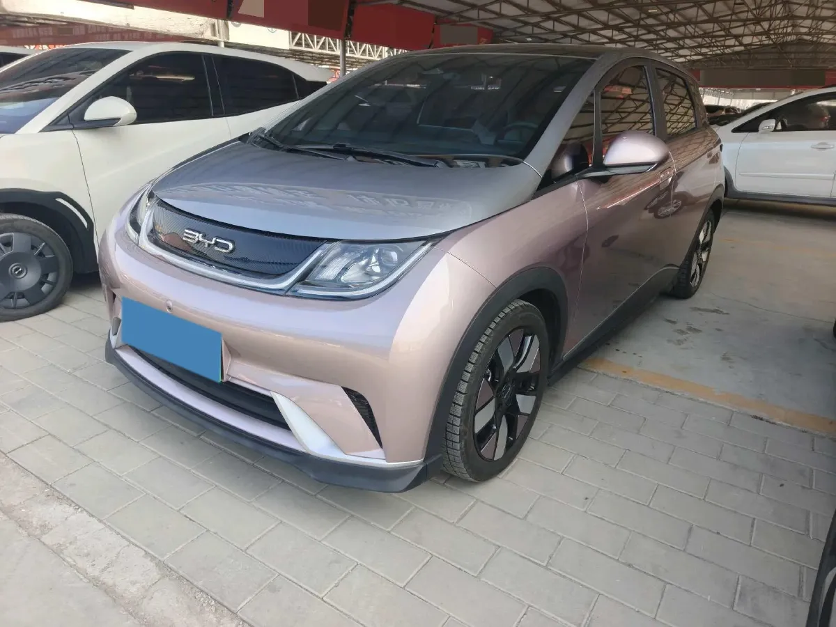 2023 BYD Dolphin BEV 44.928KWH,autocango,china used car exporter,china ev exporter,chinese used car exporter,chinese used ev exporter