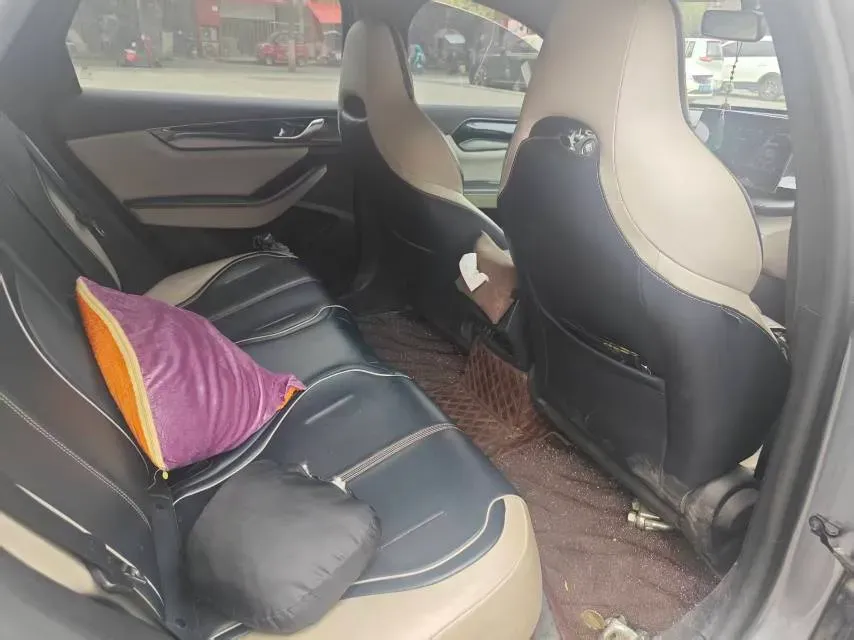 2021 DongFeng FuKang e Elysee BEV 30.7KWH,autocango,china used car exporter,china ev exporter,chinese used car exporter,chinese used ev exporter