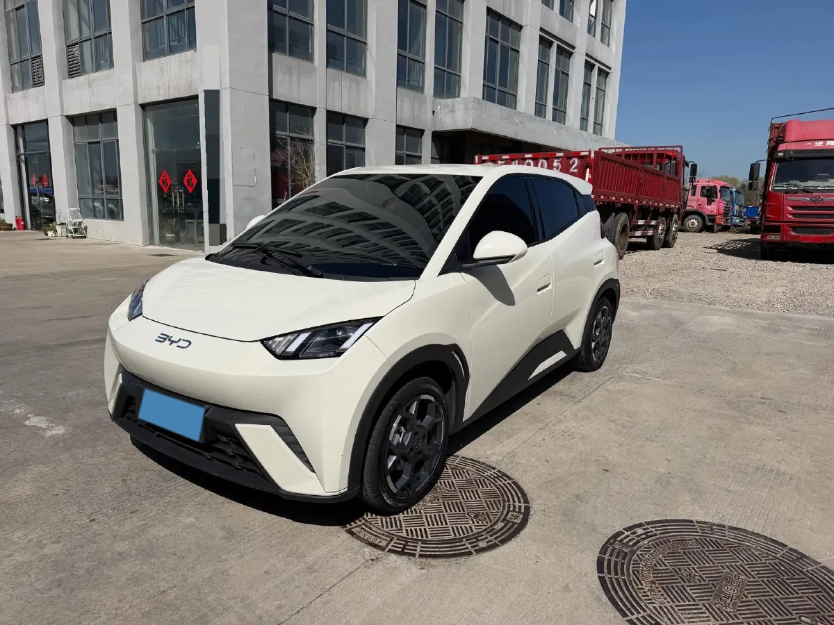 2025 BYD Seagull BEV 30.08KWH,autocango,china used car exporter,china ev exporter,chinese used car exporter,chinese used ev exporter