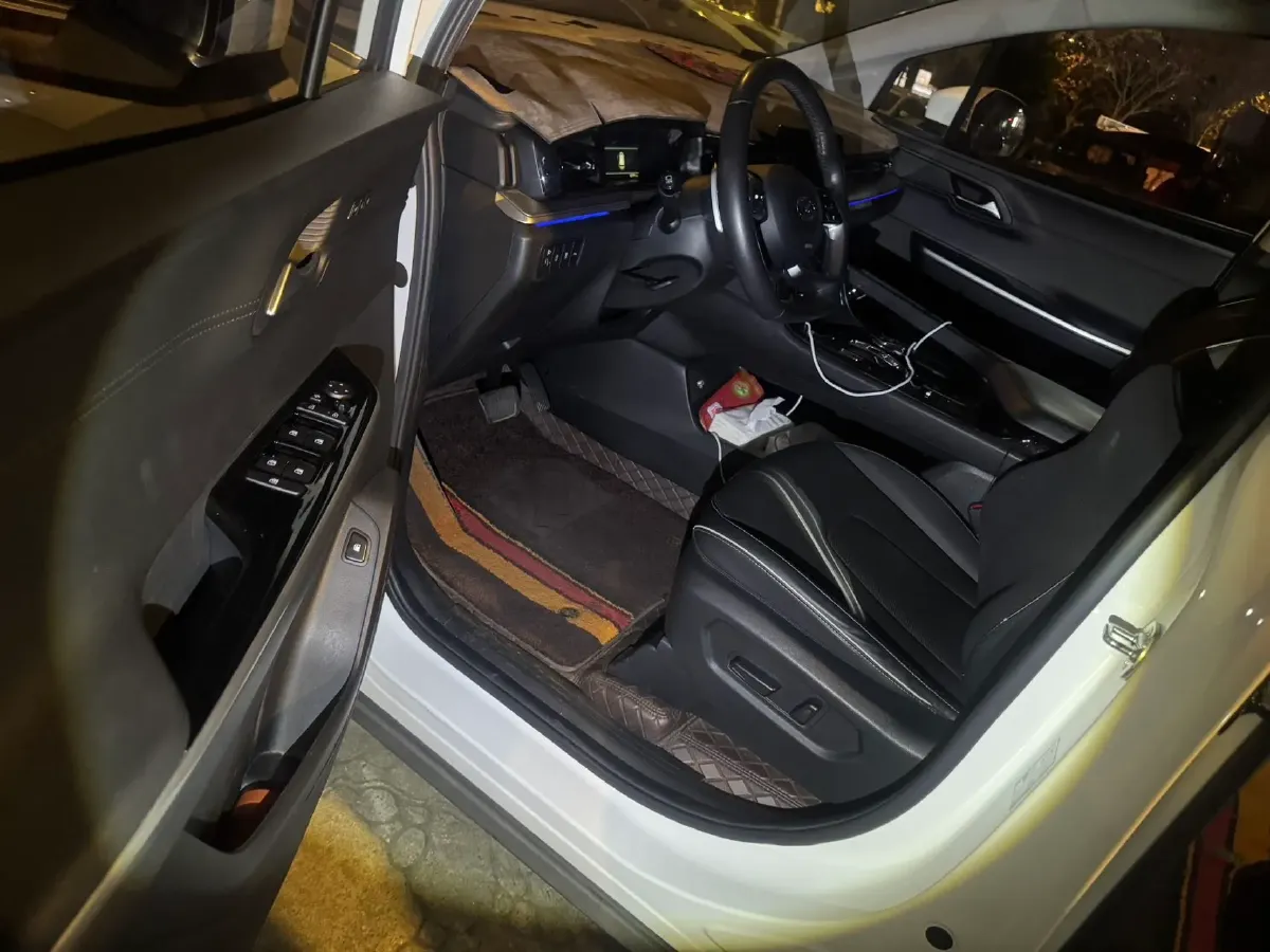 2021 Hyundai Custo 2.0T 236HP L4 8AT,autocango,china used car exporter,china ev exporter,chinese used car exporter,chinese used ev exporter