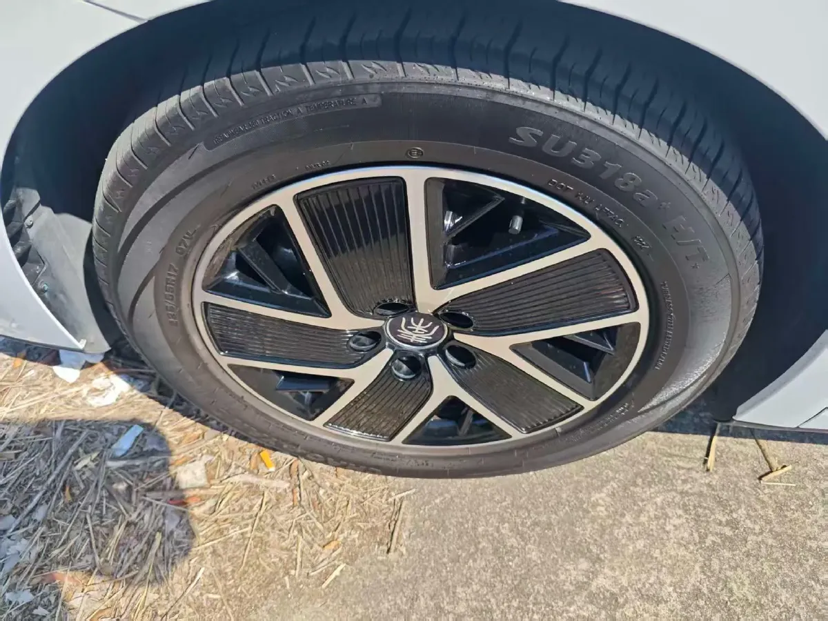 2024 BYD QinL 1.5L 101HP L4 E-CVT PHEV 10.08KWH,autocango,china used car exporter,china ev exporter,chinese used car exporter,chinese used ev exporter