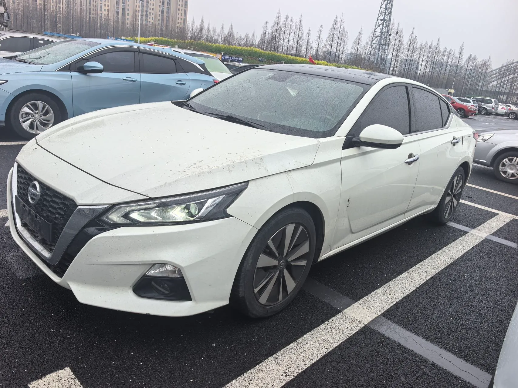 autocango,china used car exporter,china ev exporter,chinese used car exporter,chinese used ev exporter