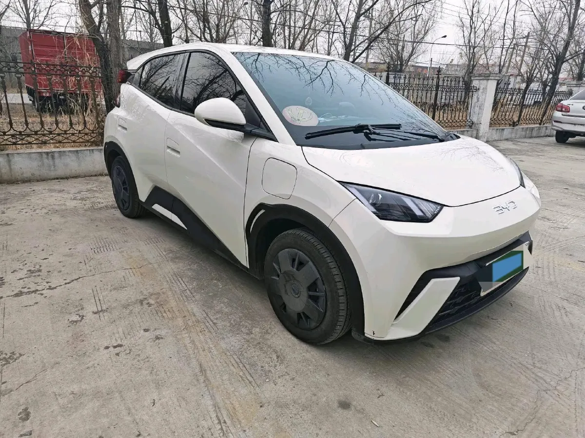 2025 BYD Seagull BEV 30.08KWH,autocango,china used car exporter,china ev exporter,chinese used car exporter,chinese used ev exporter