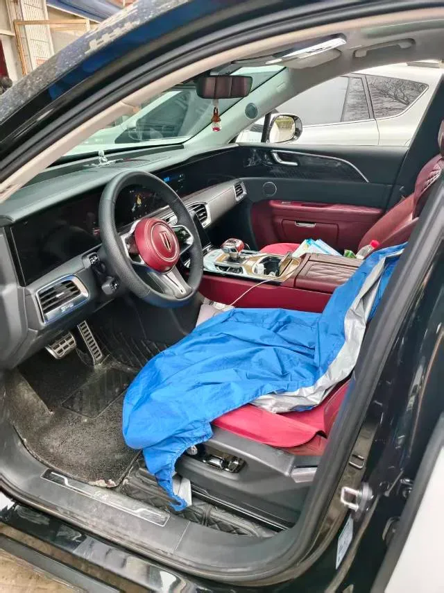 2021 HongQi E-HS9 BEV 84KWH,autocango,china used car exporter,china ev exporter,chinese used car exporter,chinese used ev exporter