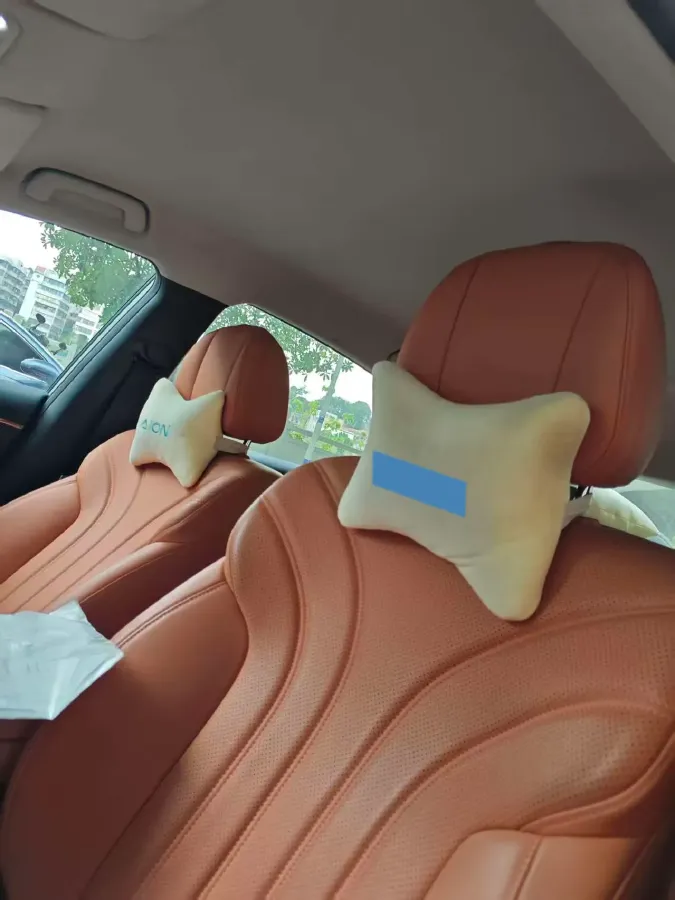 2025 Aion AION RT BEV 55.1KWH,autocango,china used car exporter,china ev exporter,chinese used car exporter,chinese used ev exporter