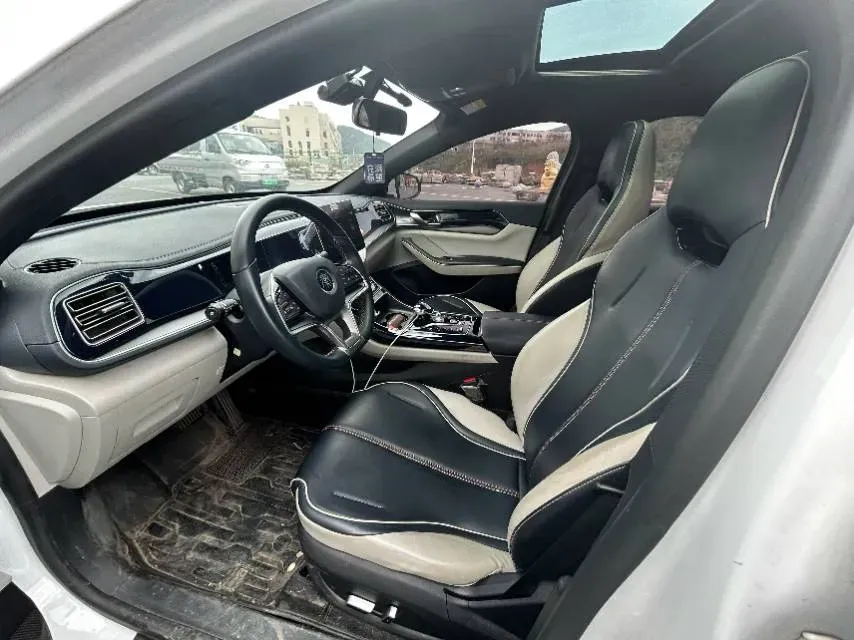 2019 BYD Qin BEV 53.1KWH,autocango,china used car exporter,china ev exporter,chinese used car exporter,chinese used ev exporter