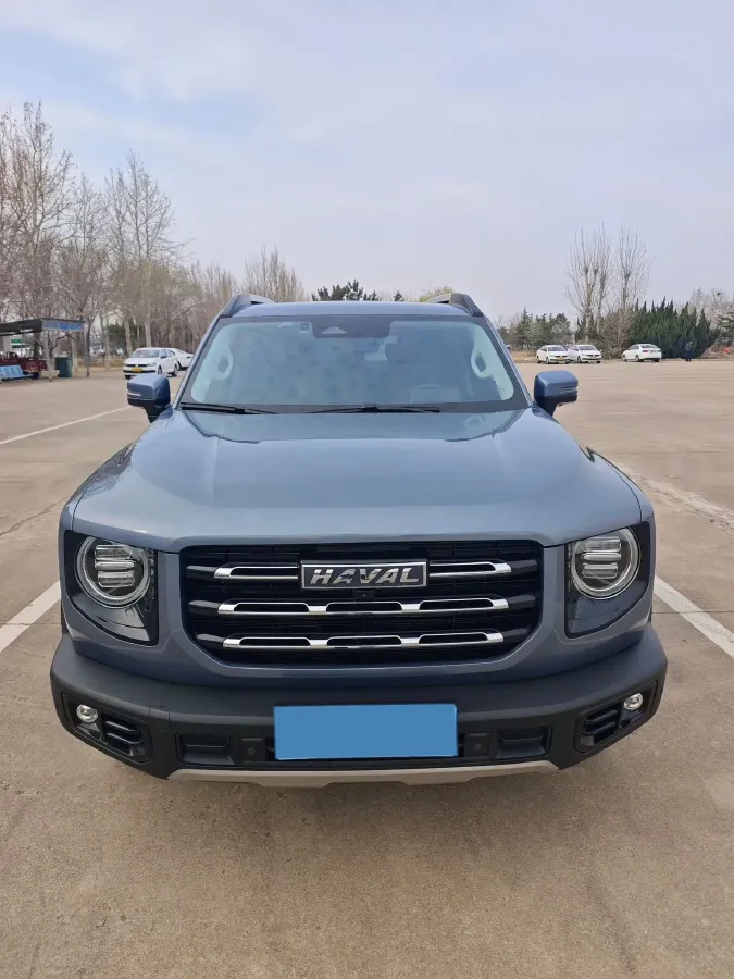 2021 Haval Dargo 2.0T 211HP L4 7DCT,autocango,china used car exporter,china ev exporter,chinese used car exporter,chinese used ev exporter