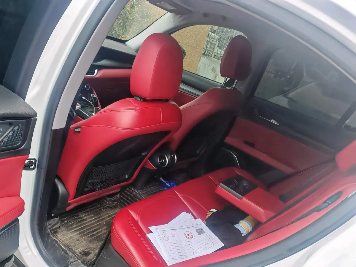 2017 Alfa Romeo Stelvio 2.0T 200HP L4 8AT,autocango,china used car exporter,china ev exporter,chinese used car exporter,chinese used ev exporter