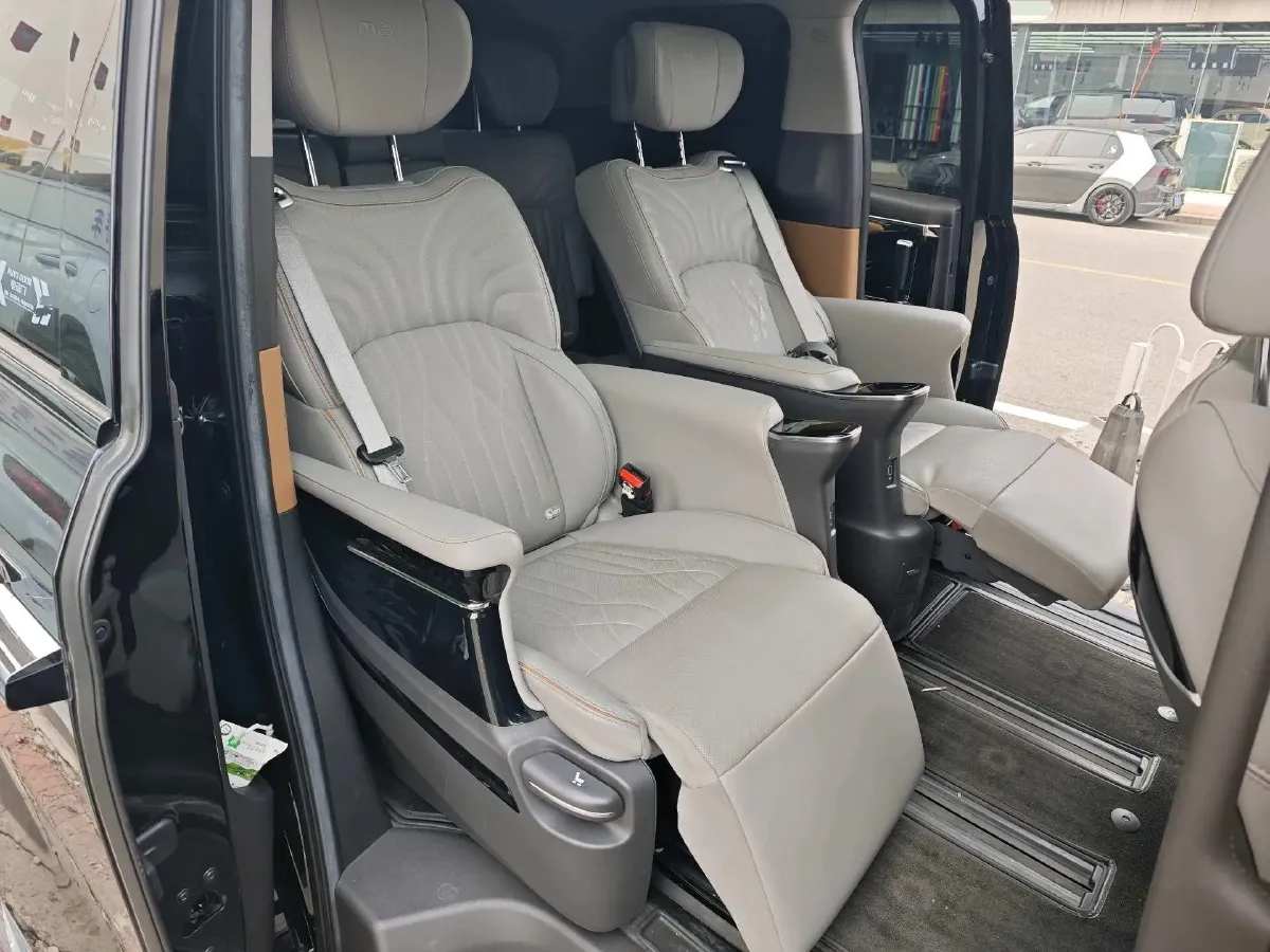 2024 GAC Trumpchi M8 2.0T 252HP L4 8AT,autocango,china used car exporter,china ev exporter,chinese used car exporter,chinese used ev exporter