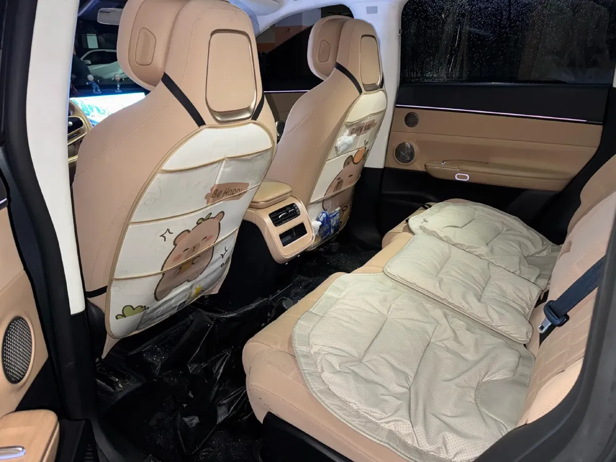 2024 Exceed Sterra ET REEV 156HP REEV 32KWH,autocango,china used car exporter,china ev exporter,chinese used car exporter,chinese used ev exporter