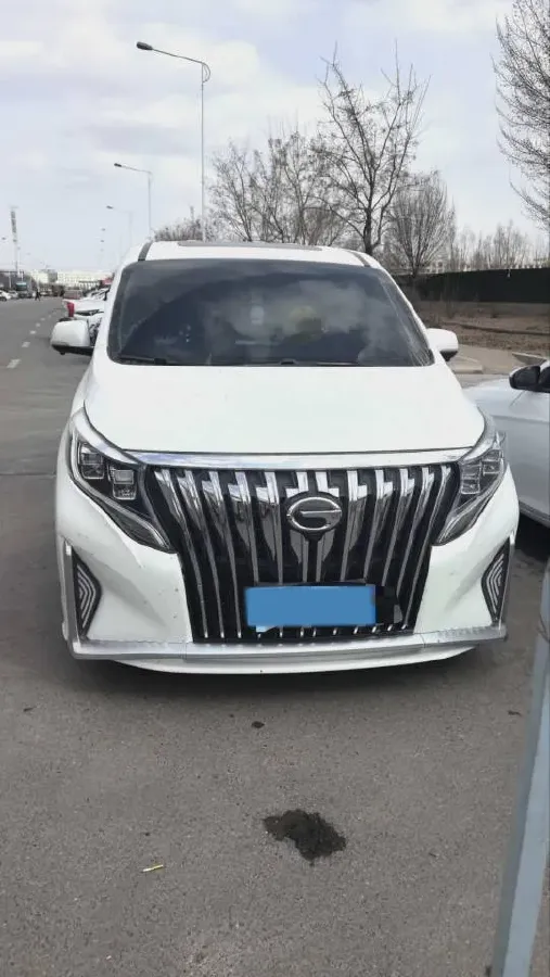2021 GAC Trumpchi M8 2.0T 252HP L4 8AT,autocango,china used car exporter,china ev exporter,chinese used car exporter,chinese used ev exporter