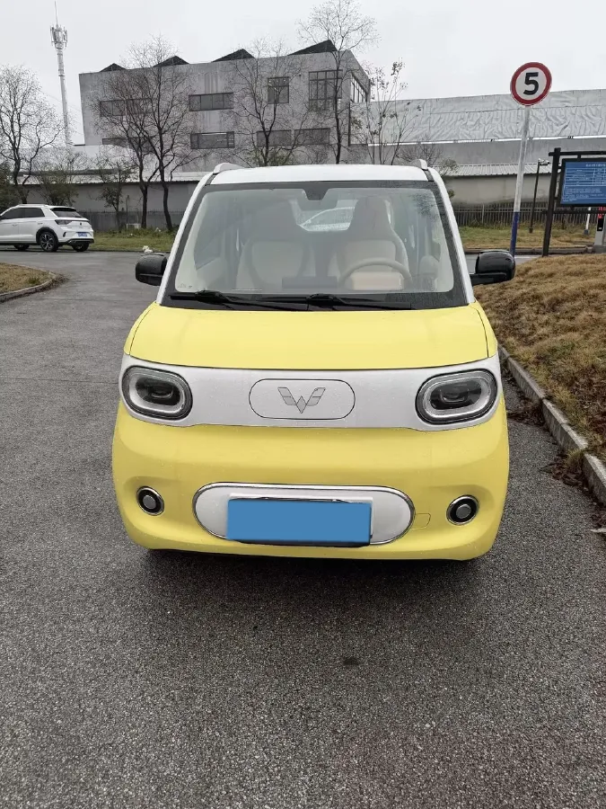 2024 WuLing HongGuang MINI EV BEV 17.3KWH,autocango,china used car exporter,china ev exporter,chinese used car exporter,chinese used ev exporter