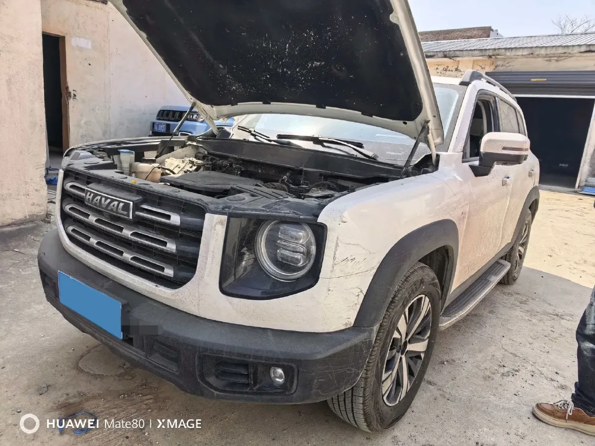 2021 Haval Dargo 1.5T 169HP L4 7DCT,autocango,china used car exporter,china ev exporter,chinese used car exporter,chinese used ev exporter