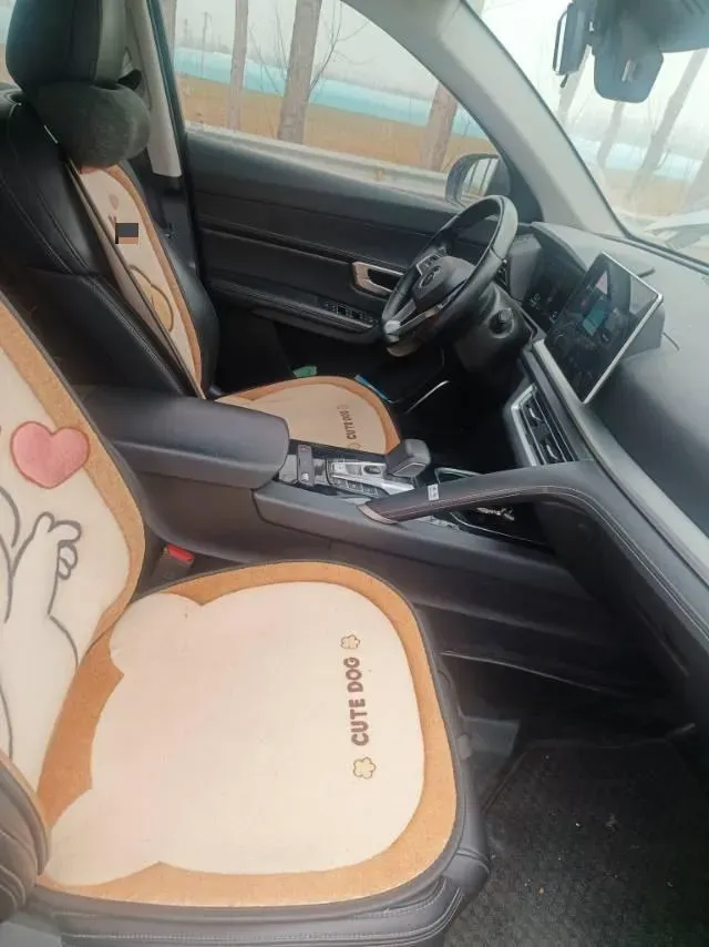 2019 BYD Song Pro 1.5T 160HP L4 6DCT,autocango,china used car exporter,china ev exporter,chinese used car exporter,chinese used ev exporter