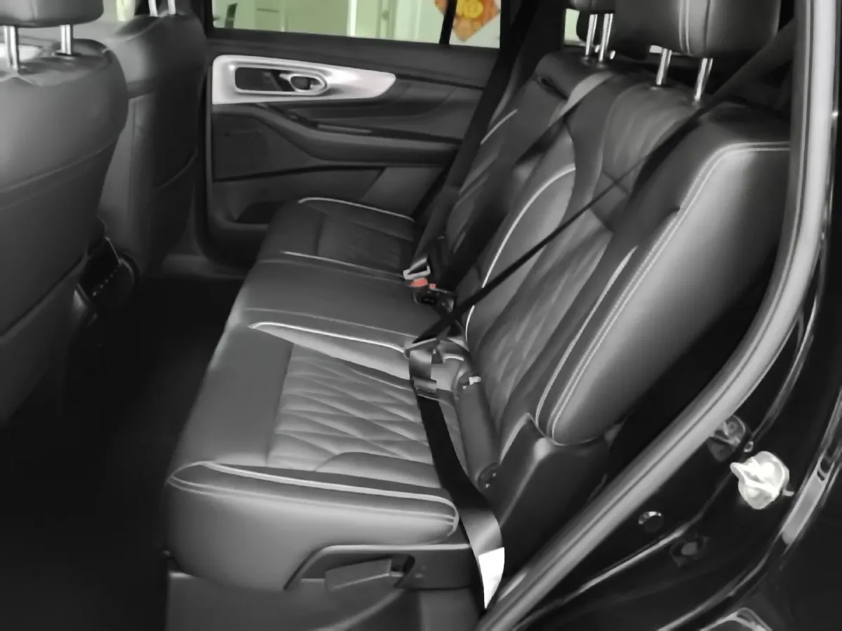 2022 GAC Trumpchi GS8 2.0T 252HP L4 8AT,autocango,china used car exporter,china ev exporter,chinese used car exporter,chinese used ev exporter