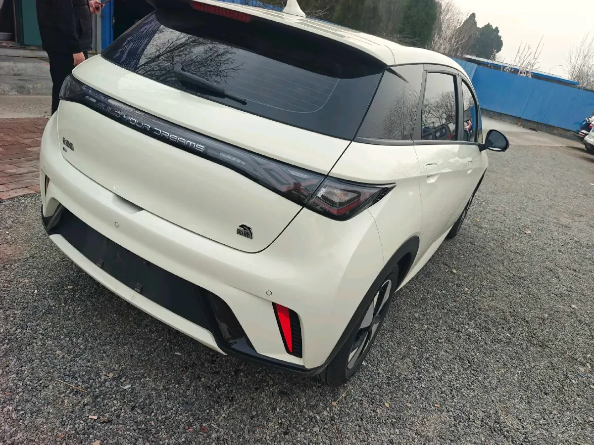 2023 BYD Dolphin BEV 44.928KWH,autocango,china used car exporter,china ev exporter,chinese used car exporter,chinese used ev exporter