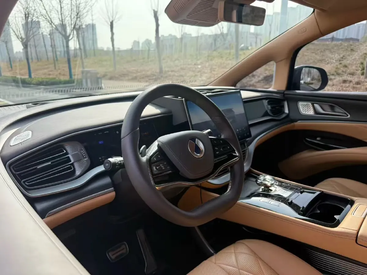 2024 Denza D9 1.5T 139HP L4 E-CVT PHEV 40KWH,autocango,china used car exporter,china ev exporter,chinese used car exporter,chinese used ev exporter