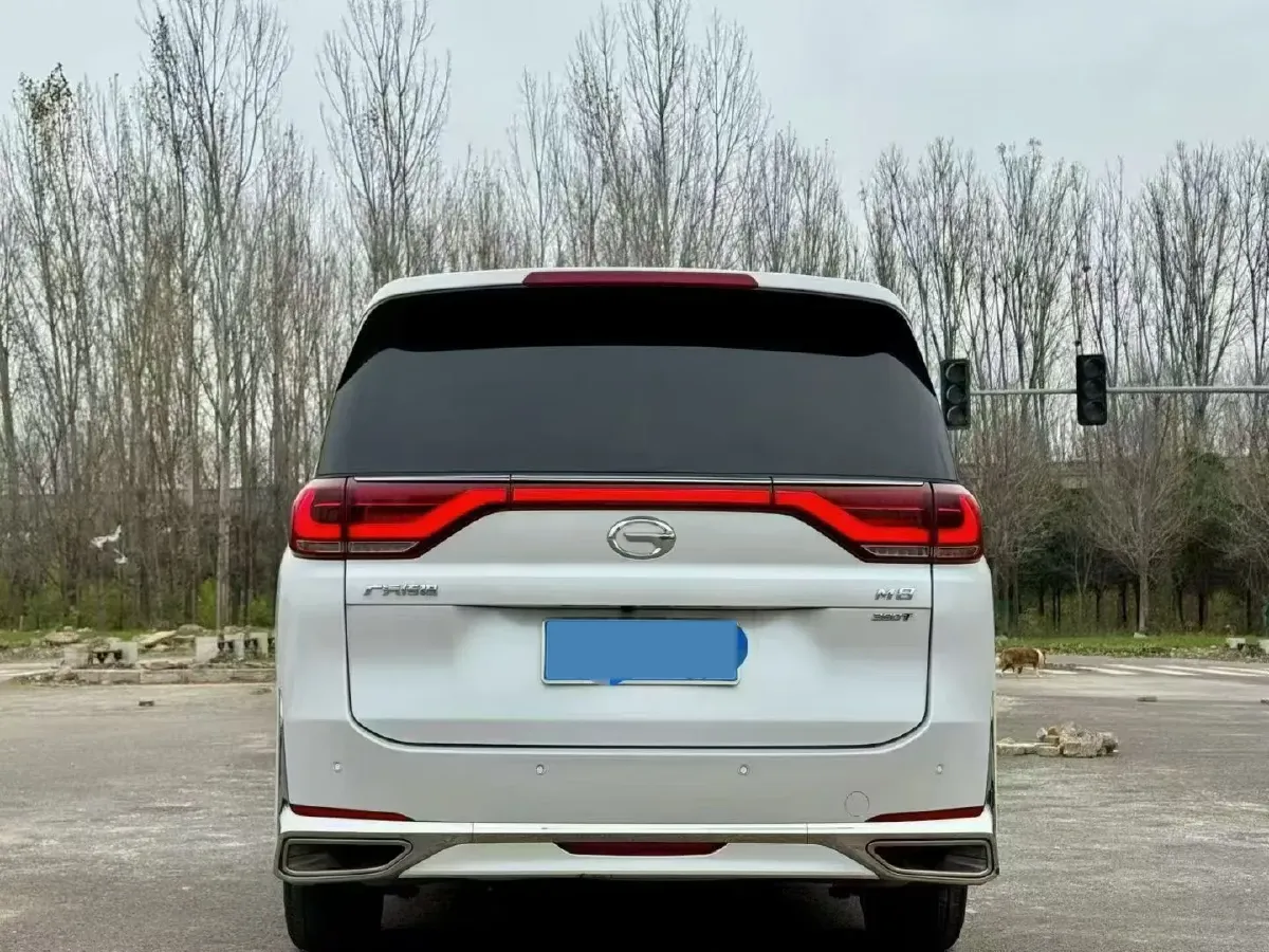 2021 GAC Trumpchi M8 2.0T 252HP L4 8AT,autocango,china used car exporter,china ev exporter,chinese used car exporter,chinese used ev exporter