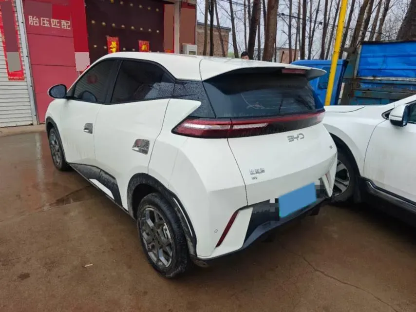 2024 BYD Seagull BEV 30.08KWH,autocango,china used car exporter,china ev exporter,chinese used car exporter,chinese used ev exporter