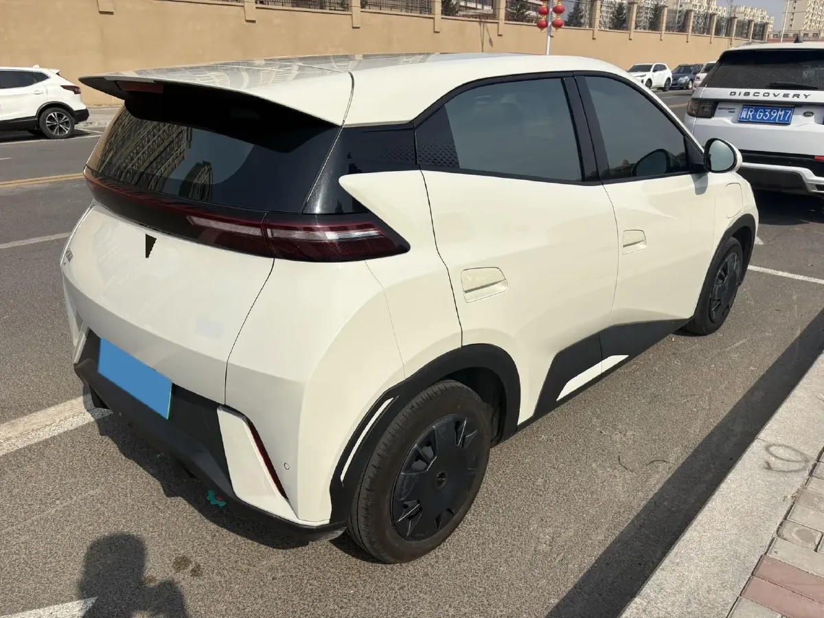 2025 BYD Seagull BEV 30.08KWH,autocango,china used car exporter,china ev exporter,chinese used car exporter,chinese used ev exporter